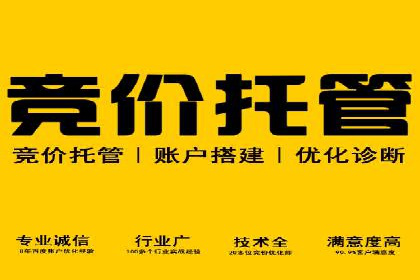 企业SEM运营托管成功案例分享